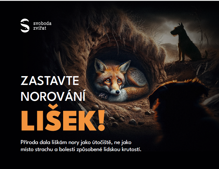 Boj za zákaz norování lišek